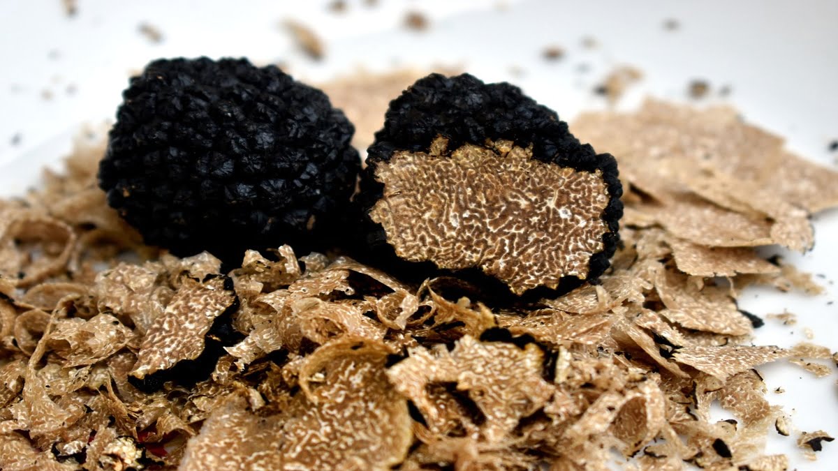 Voici 5 bienfaits des truffes en plus de leur goût incomparable !