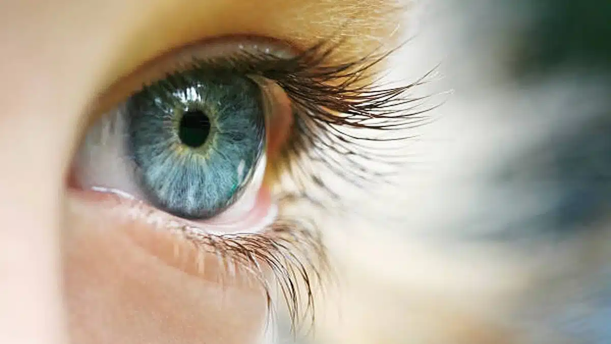 ces-5-vitamines-sont-magiques-pour-ameliorer-la-vision-et-la-sante-des-yeux