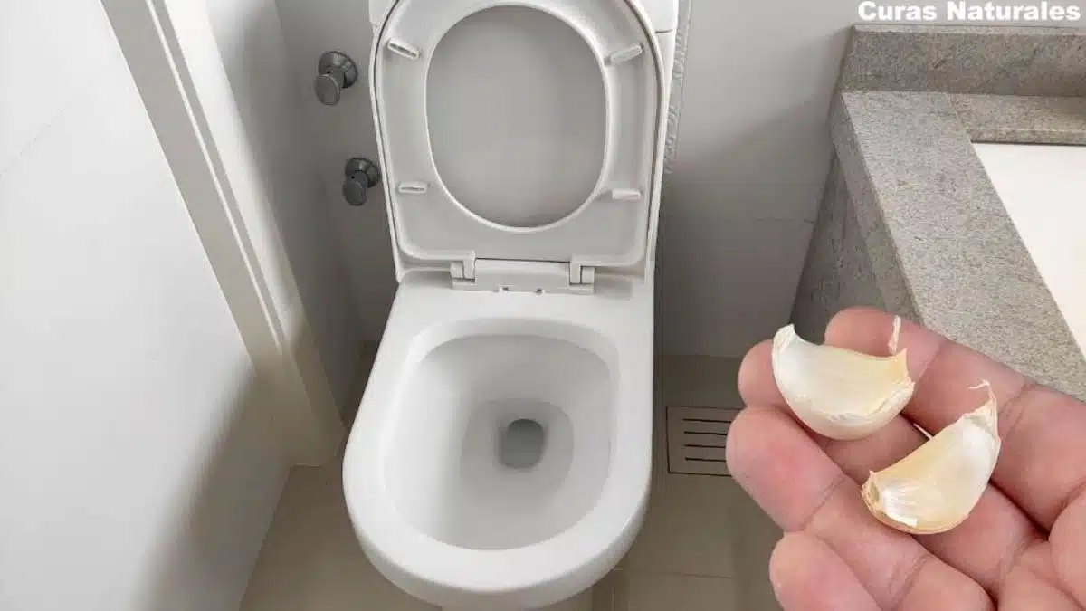 lastuce-a-base-dail-pour-toujours-avoir-des-toilettes-toujours-propres-sans-bacteries-ni-champignons