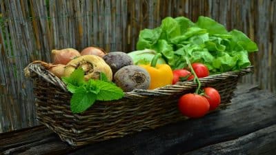 Santé : ces aliments que vous devriez manger au quotidien !