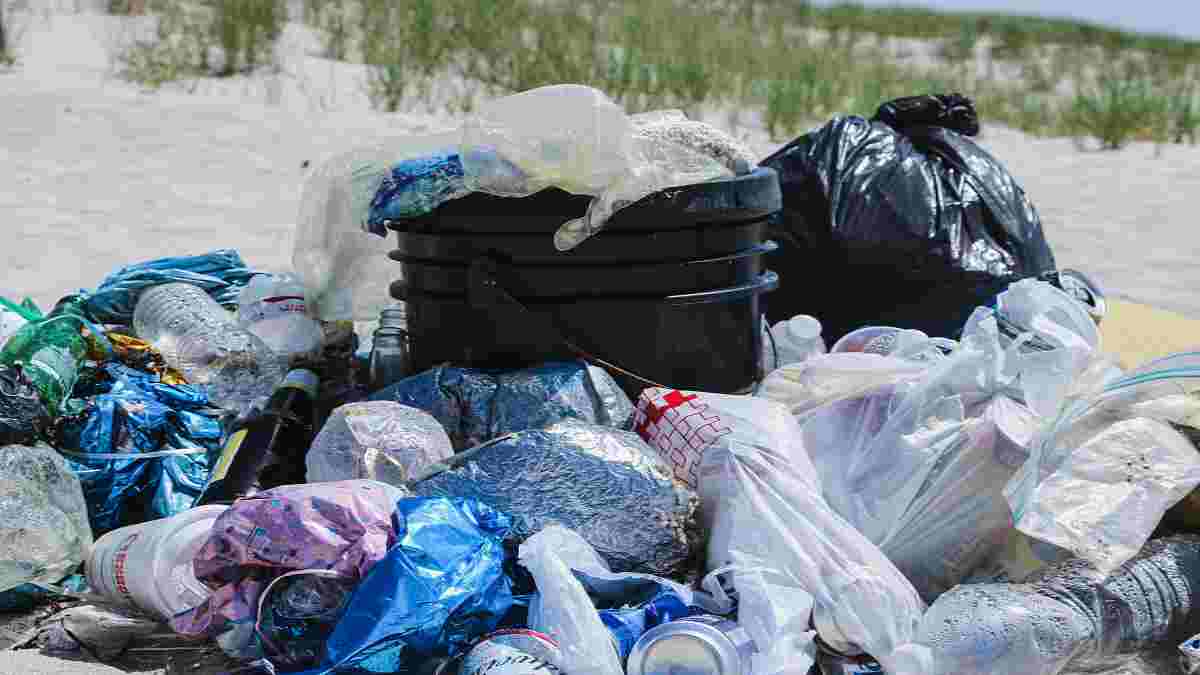 révolution écologique des sacs en plastique