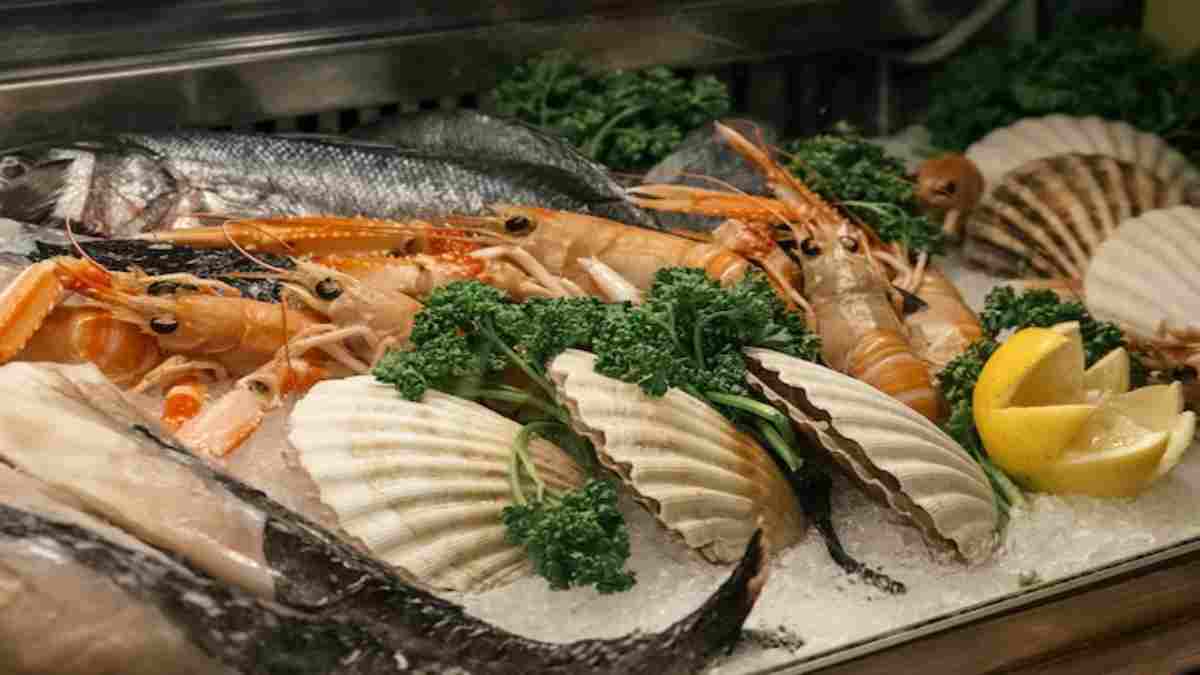 Comment vérifier la fraîcheur et la qualité de vos fruits de mer avant de les consommer : conseils pratiques